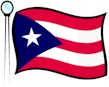 Resized Image