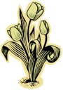 Resized Image